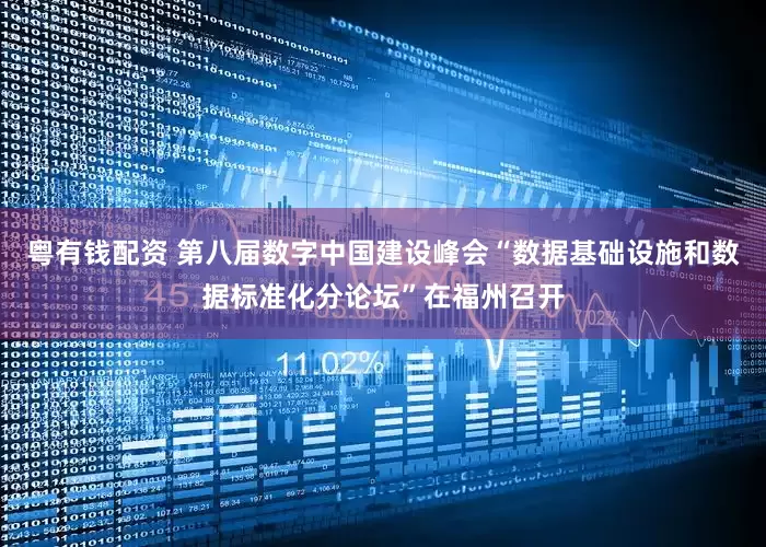 粤有钱配资 第八届数字中国建设峰会“数据基础设施和数据标准化分论坛”在福州召开